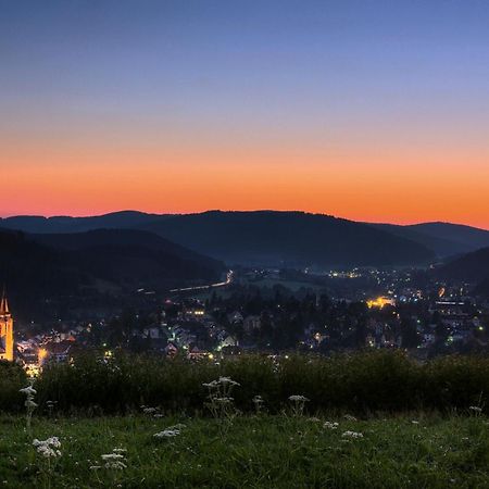 Drei Tannen - Wohnung 12 - Apartmenthaus, Titisee, Nahe Badeparadies מראה חיצוני תמונה