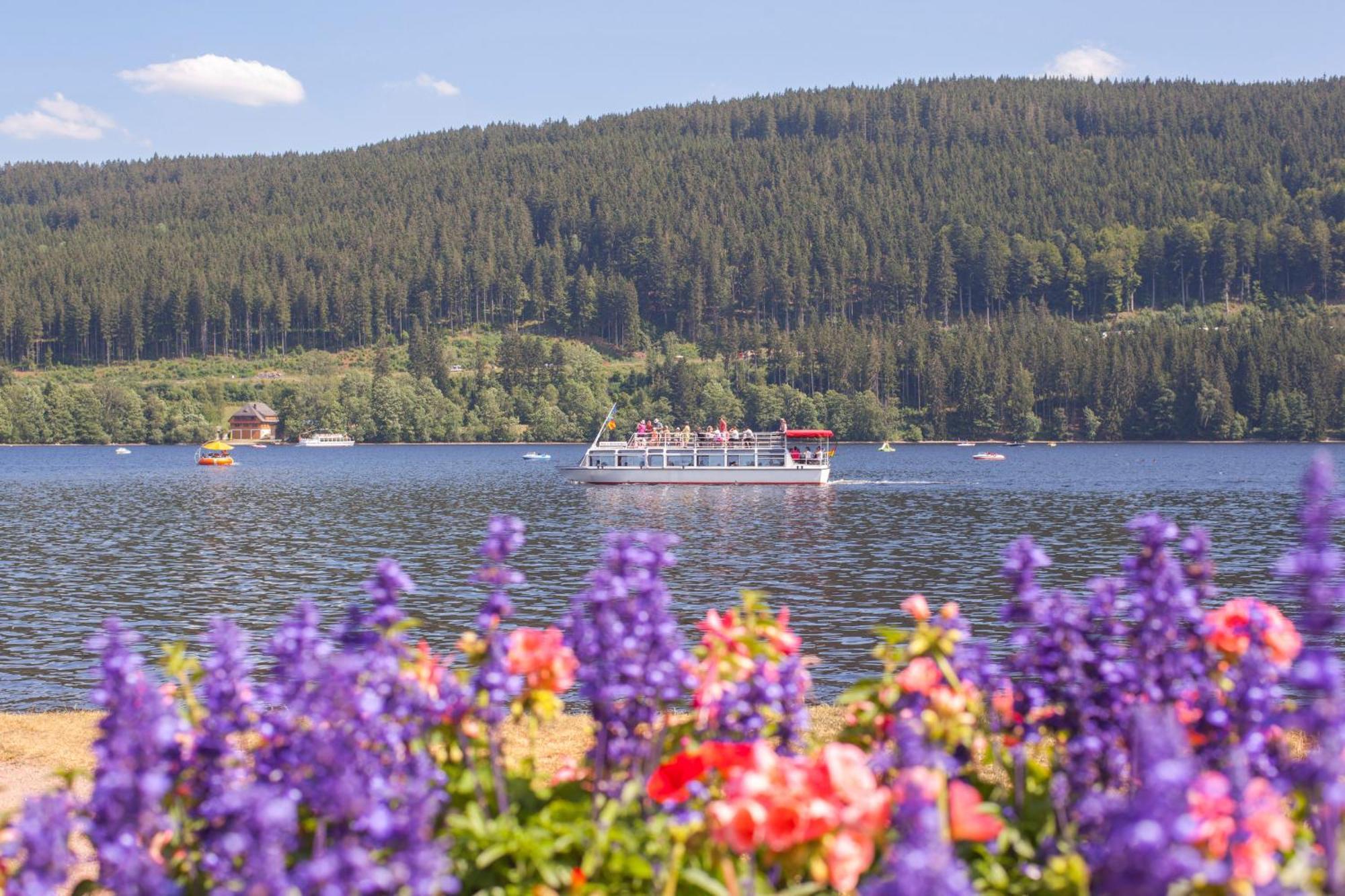 Drei Tannen - Wohnung 12 - Apartmenthaus, Titisee, Nahe Badeparadies מראה חיצוני תמונה