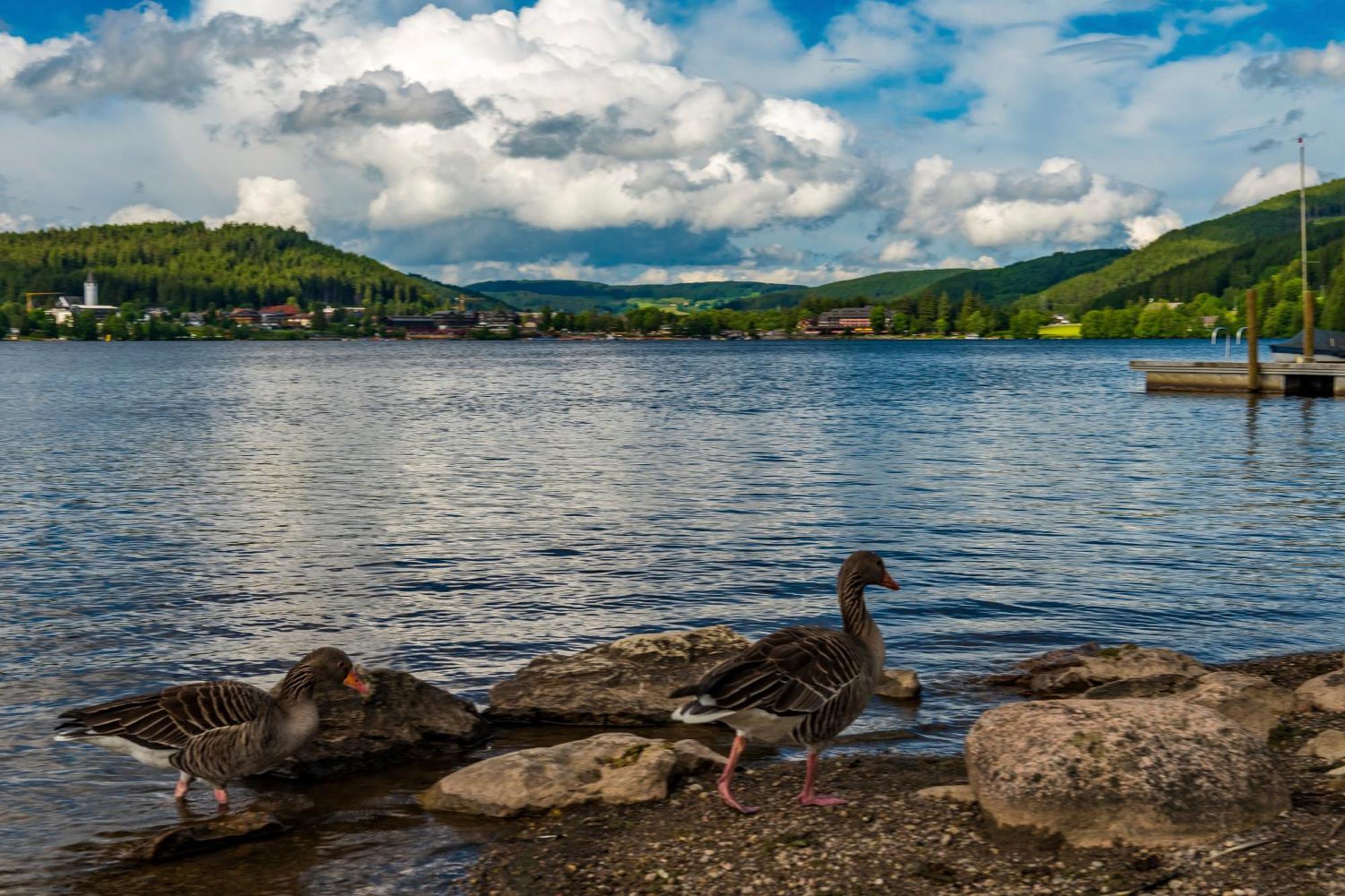 Drei Tannen - Wohnung 12 - Apartmenthaus, Titisee, Nahe Badeparadies מראה חיצוני תמונה