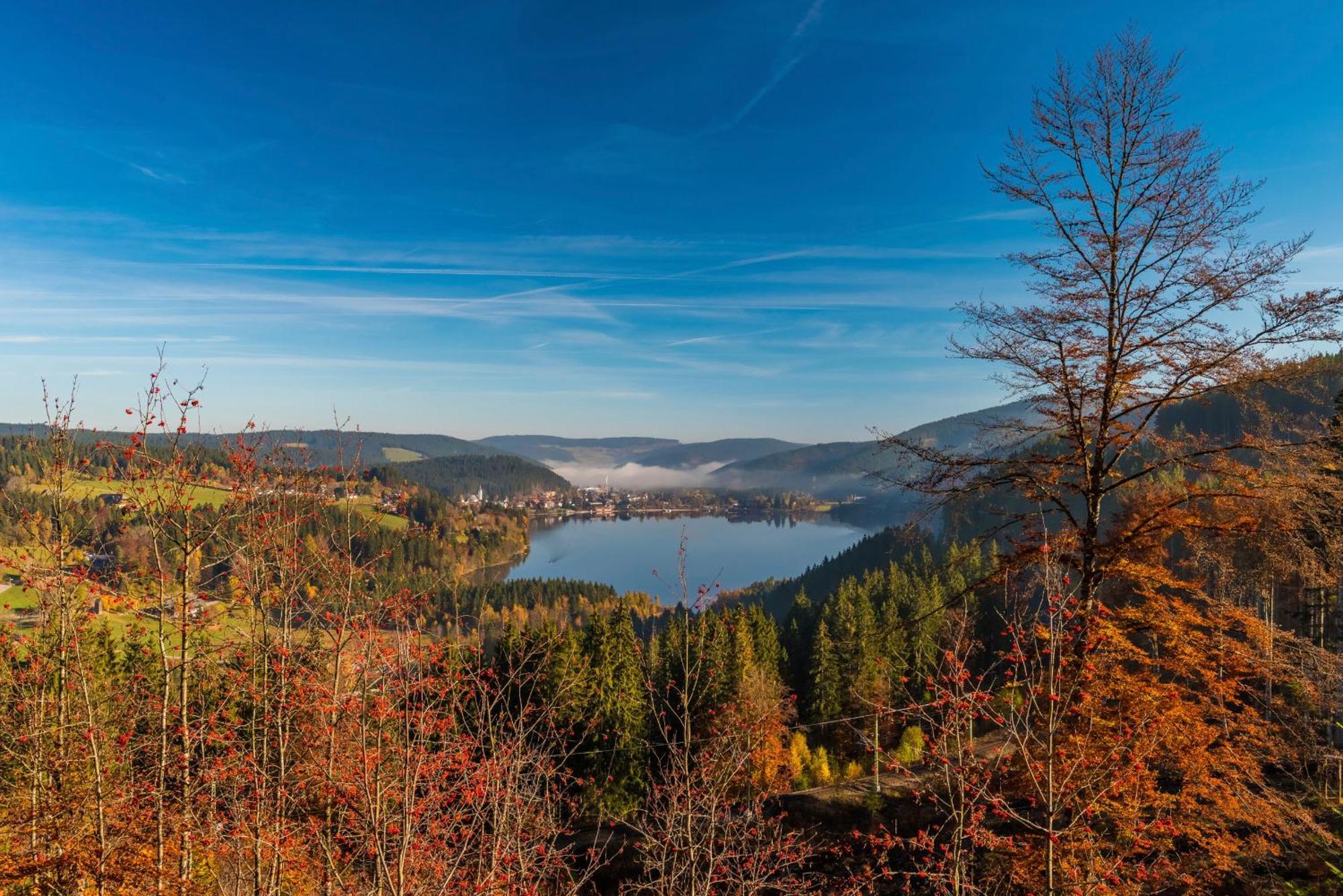 Drei Tannen - Wohnung 12 - Apartmenthaus, Titisee, Nahe Badeparadies מראה חיצוני תמונה