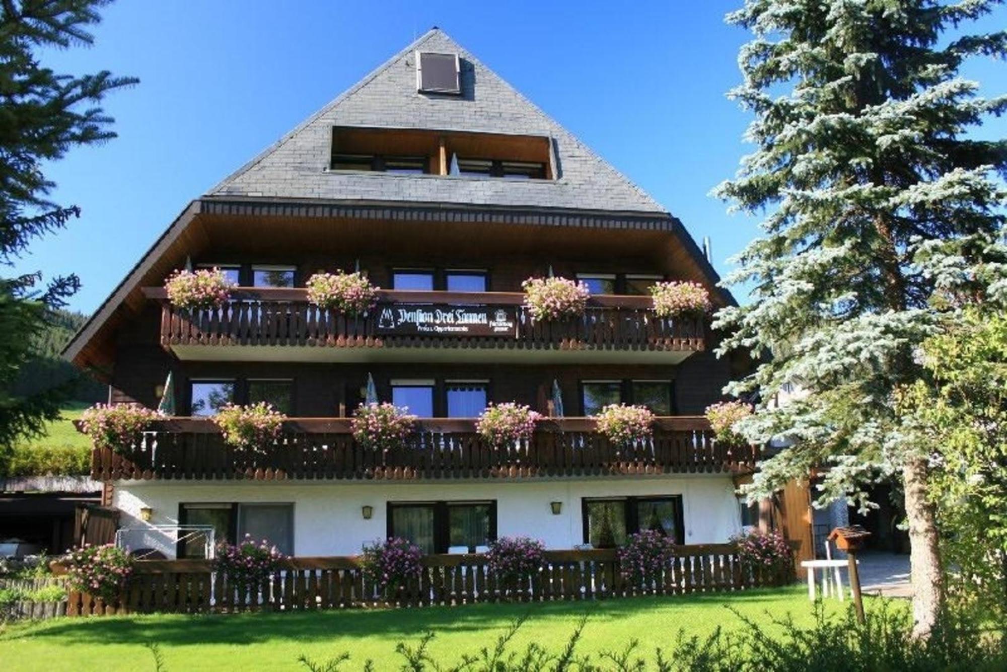 Drei Tannen - Wohnung 12 - Apartmenthaus, Titisee, Nahe Badeparadies מראה חיצוני תמונה